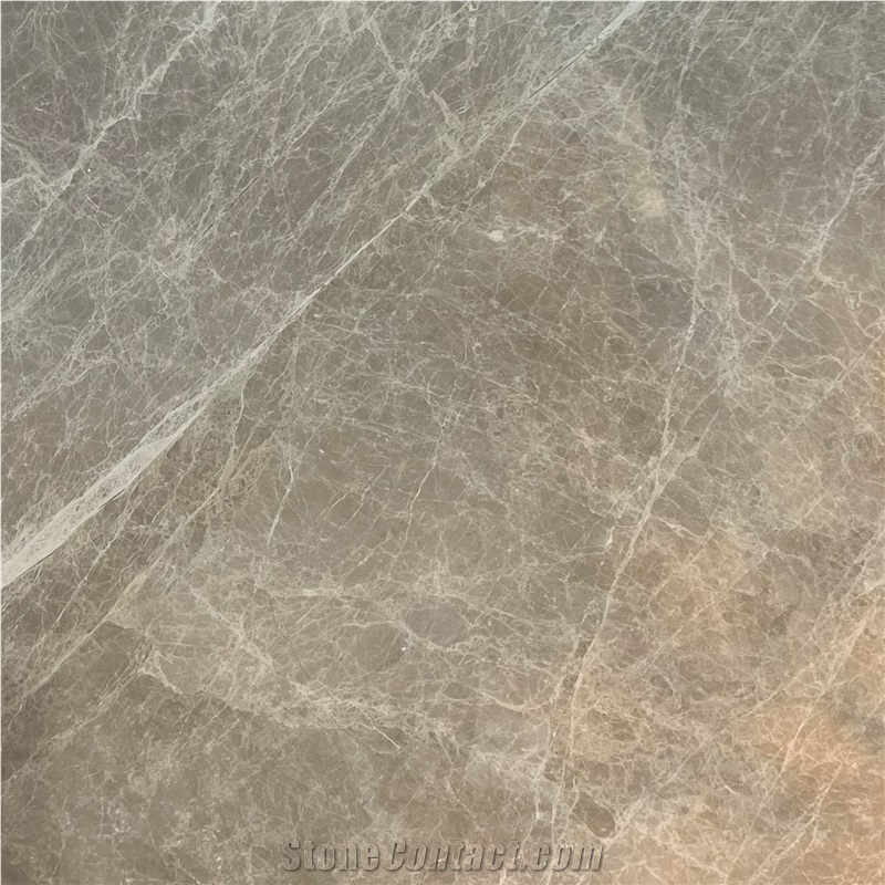 Isaura Spider Beige Marble Tile