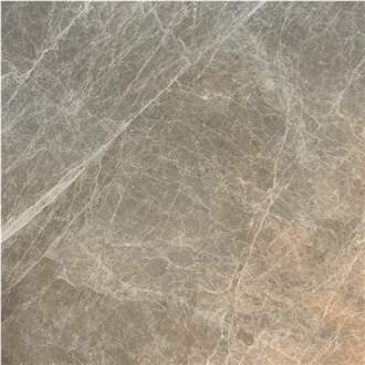 Isaura Spider Beige Marble Tile
