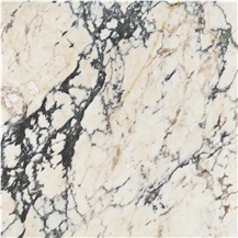Paonazzo Marble