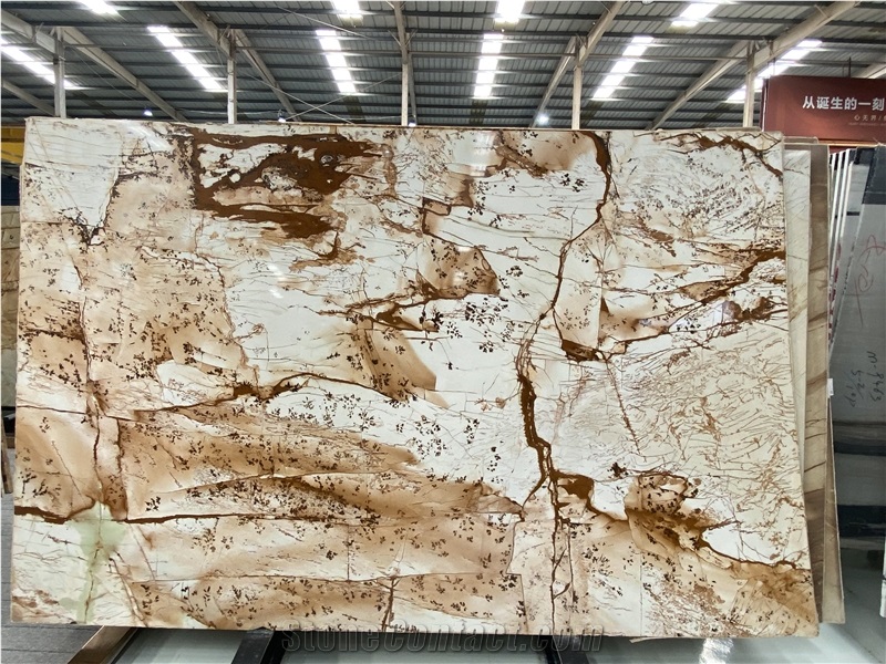 Roman Impression Quartzite Slab