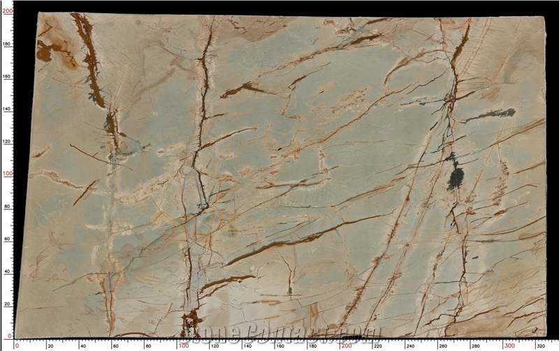 Roman Impression Quartzite Slab
