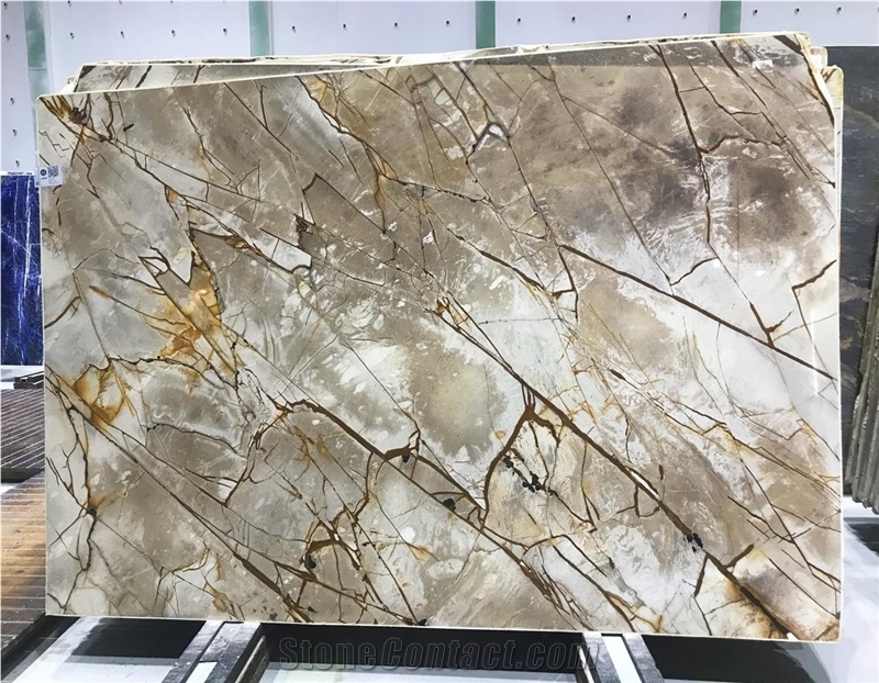Roman Impression Quartzite Slab