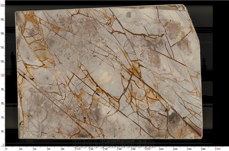 Roman Impression Quartzite Finished Product