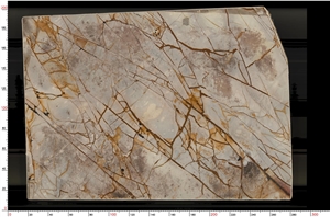 Roman Impression Quartzite Finished Product