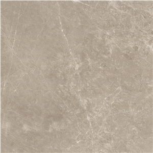 Shakespeare Grey Marble