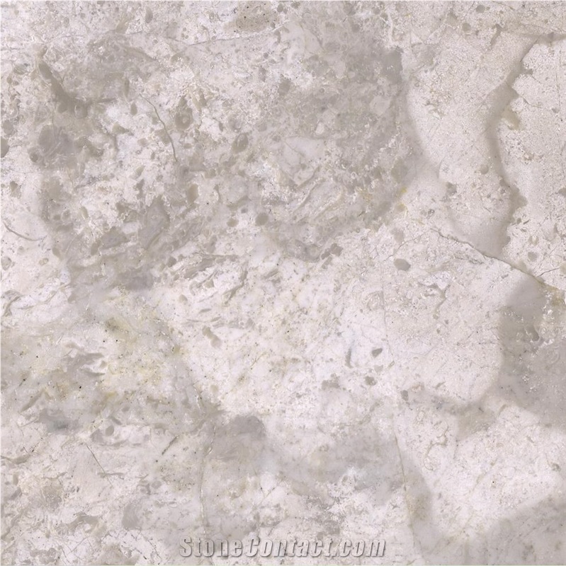 Silver Champagne Marble importance=