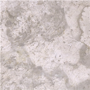Silver Champagne Marble