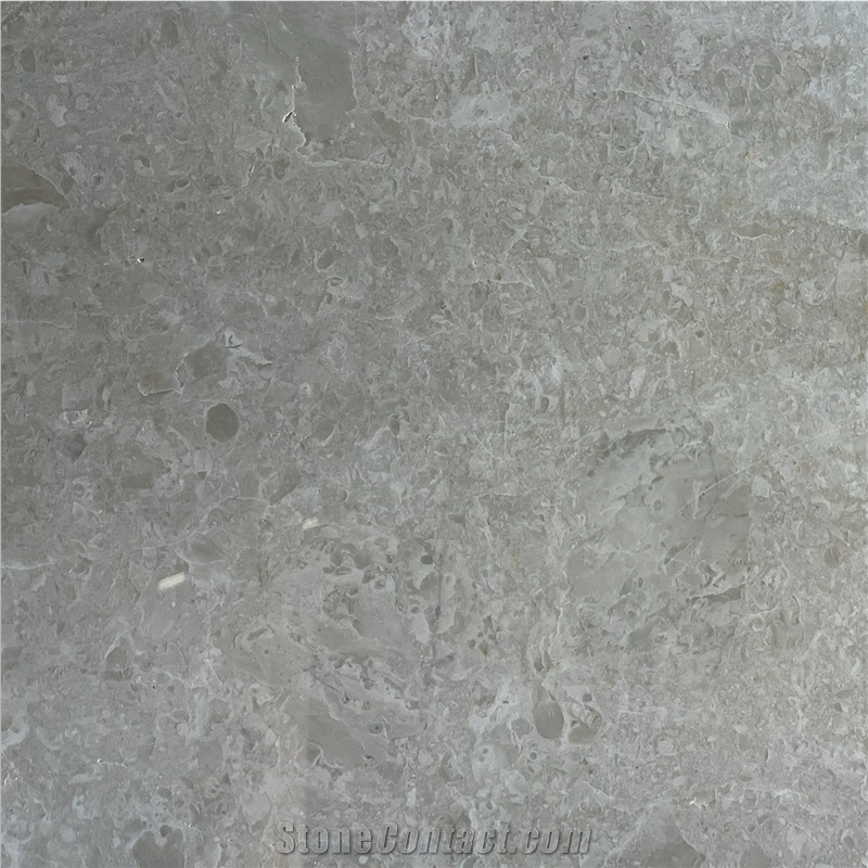 Silver Champagne Marble Tile