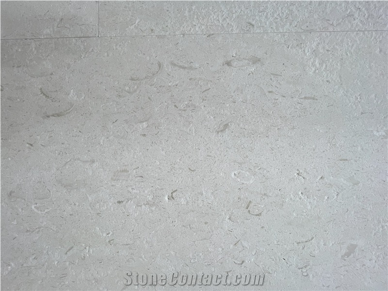 Toros Beige Limestone Slab