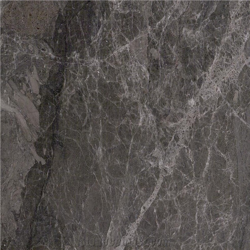Venice Gray Marble importance=