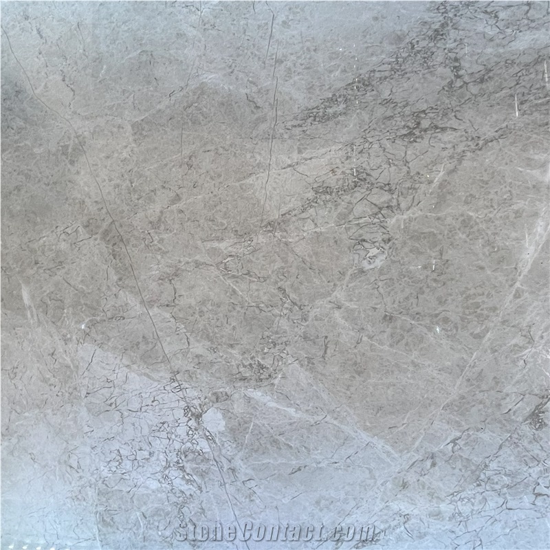 Versace Grey Marble Tile