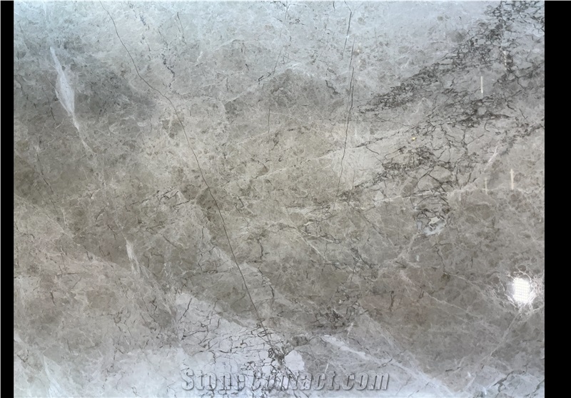 Versace Grey Marble Slab