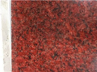 Cheaper Indian Red Granite  Slabs