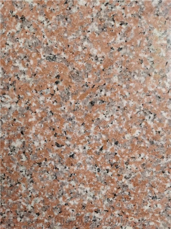Cheaper Indian Red Granite  Slabs