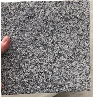 New G654 Granite For Countertops