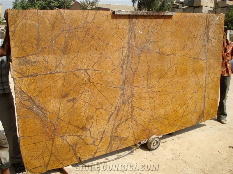 Rain Forest Golden Marble Slabs