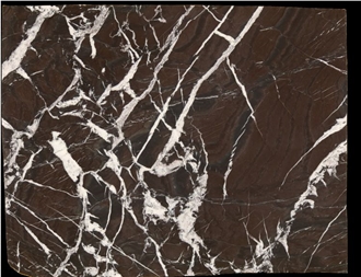 Brown Rosso Golzar Majestic Rose Marble Slabs