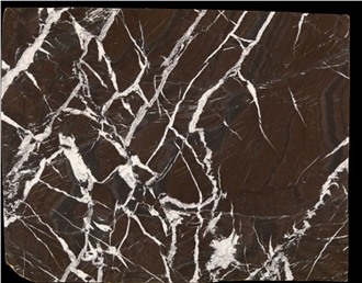 Brown Rosso Golzar Majestic Rose Marble Slabs
