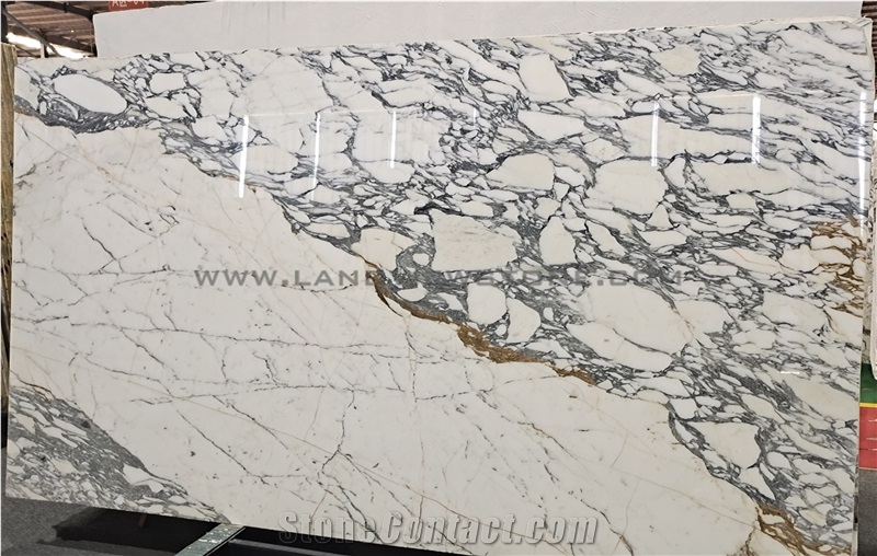 Polished Arabescato Corchia Gold Marble Slabs