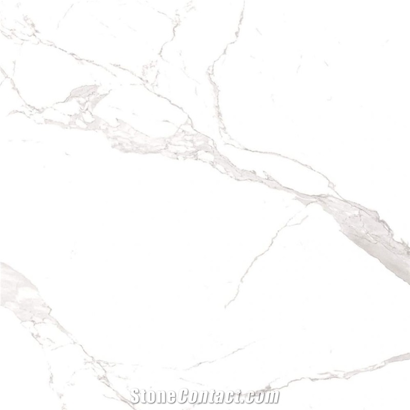 Alaska White 24×48 Polished Porcelain Tiles