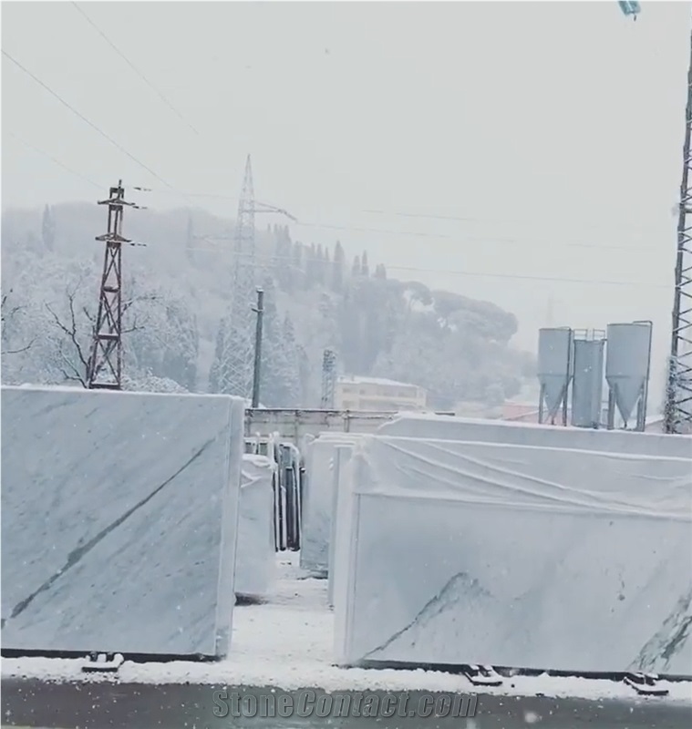 Bianco Altissimo Marble Slabs