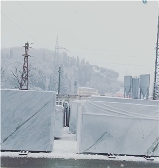 Bianco Altissimo Marble Slabs