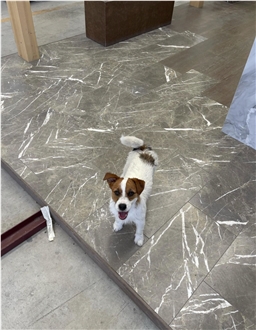 Grigio Collemandina Marble Slabs