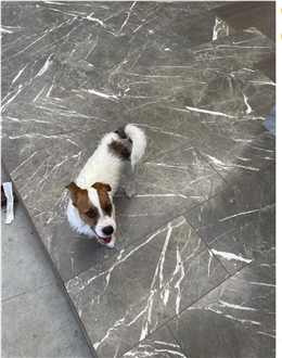 Grigio Collemandina Marble Slabs