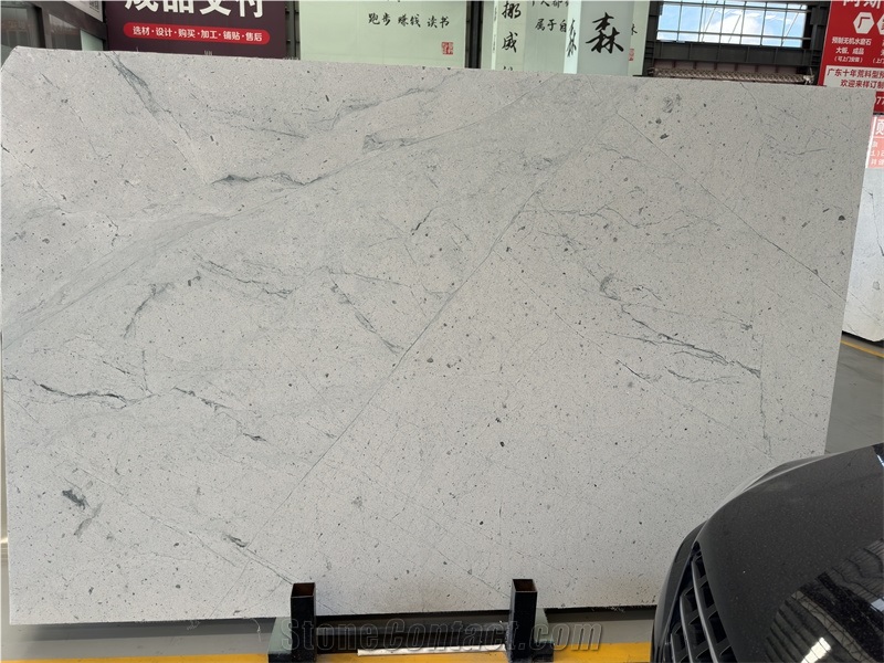 GOLDTOP OED/OEM White Norway Forest Quartzite Slabs