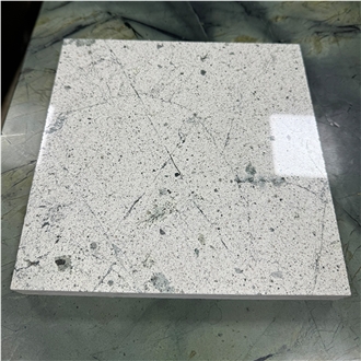 GOLDTOP OED/OEM White Norway Forest Quartzite Slabs