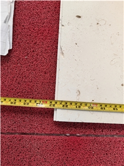 GOLDTOP OEM/ODM Ivory White Cheese Limestone Tiles