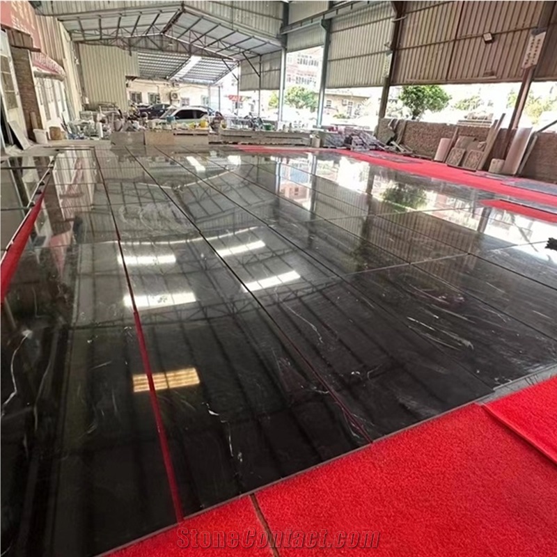 Polished Brazil Titanium Black Granite Slabs With Gold Veins