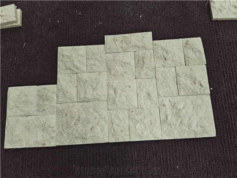 Coral Stone Wall Tiles Natural Surface