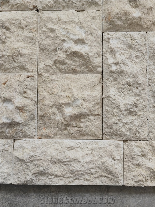 Coral Stone Wall Tiles Natural Surface