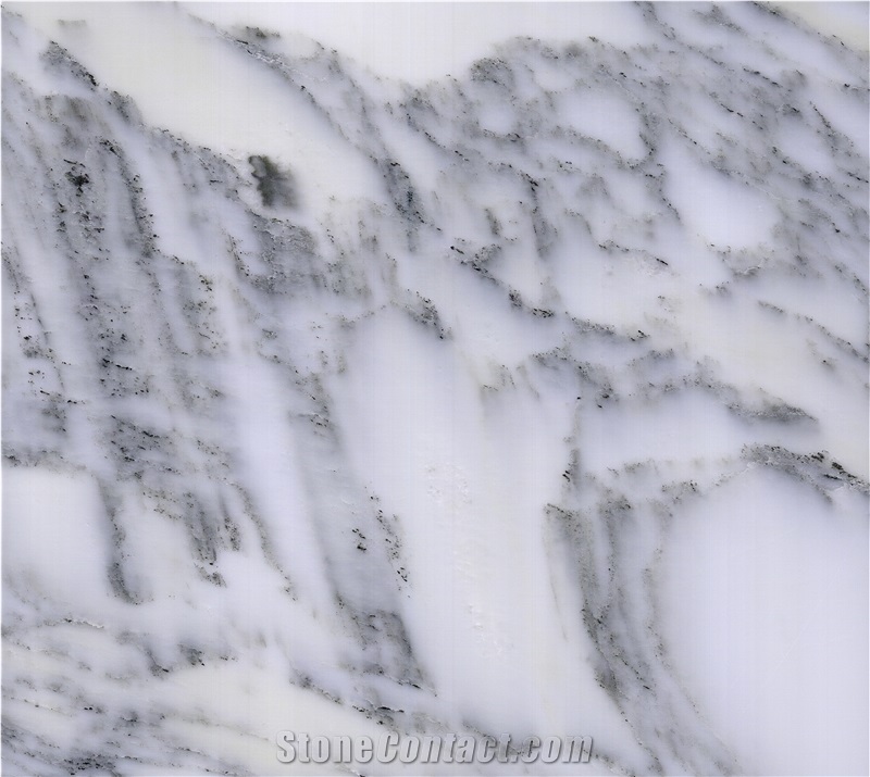 Arabescato Corchia Marble Slabs