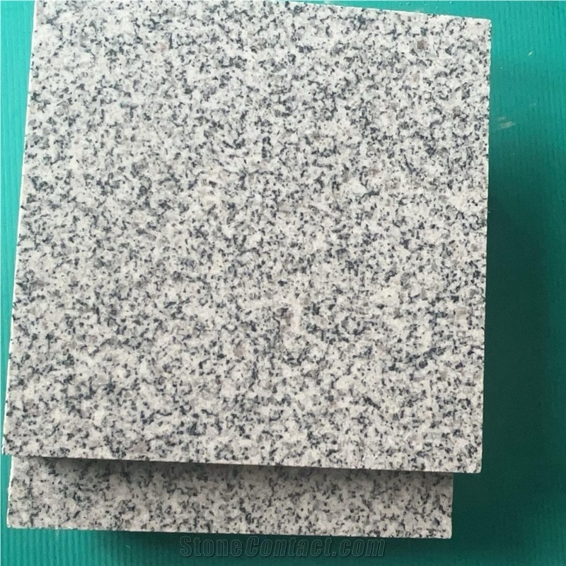 Light Grey New G603 Granite Slabs