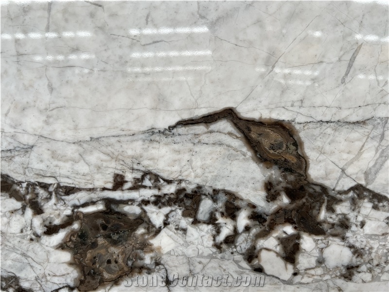 Luxury Stone Brasilian Exotic Quartzite Slabs