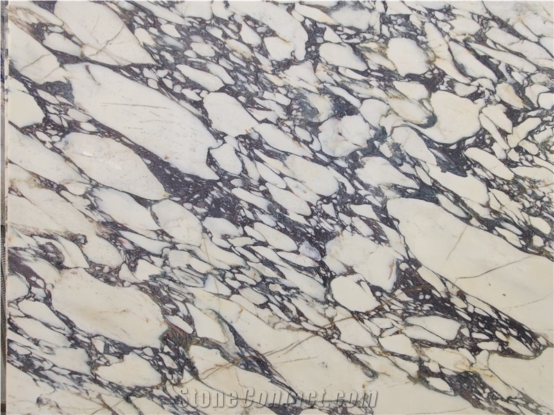 Custom Calacatta Viola Marble Slabs For Kitchen Countertop