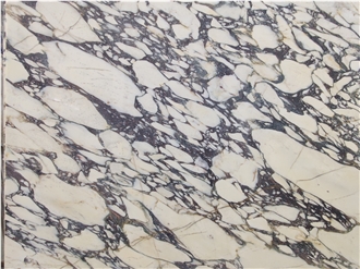 Custom Calacatta Viola Marble Slabs For Kitchen Countertop