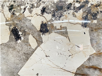 Exotic Classic Patagonia Granite Slabs