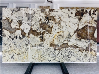 Patagonia Granite Polished Slabs