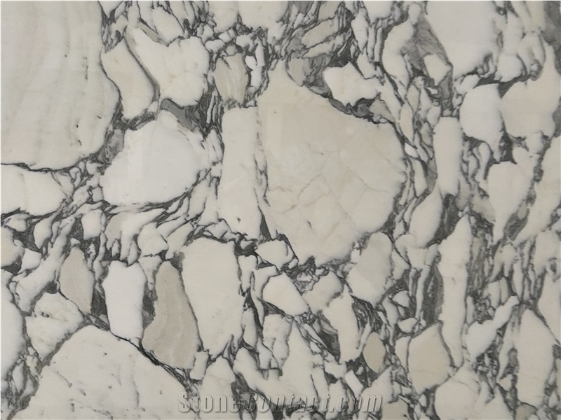 Statuary Arabesque Marbla Slabs  Pattern