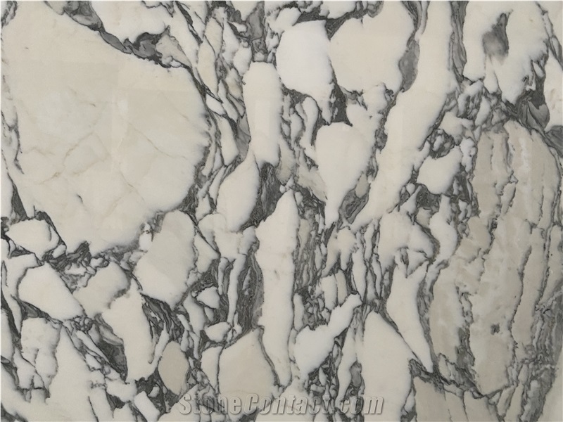 Statuary Arabesque Marbla Slabs  Pattern