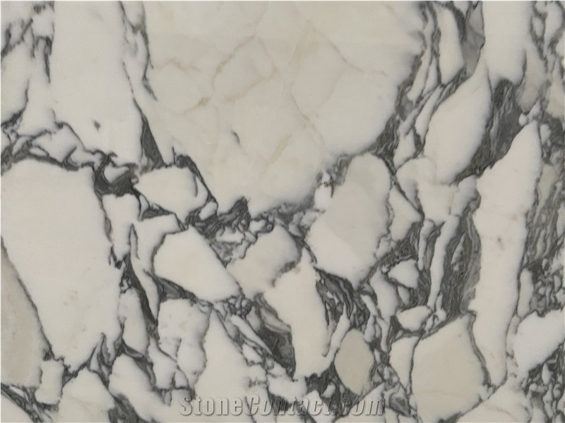 Statuary Arabesque Marbla Slabs  Pattern