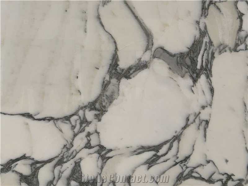 Statuary Arabesque Marbla Slabs  Pattern