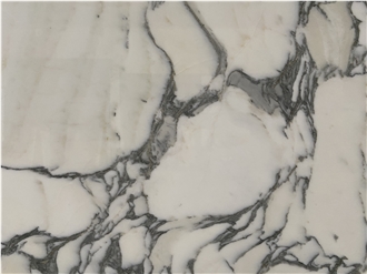 Statuary Arabesque Marbla Slabs  Pattern