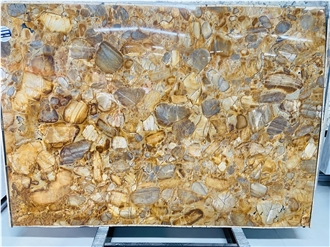 Via Appia Gold Quartzite Slabs
