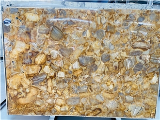 Via Appia Gold Quartzite Slabs