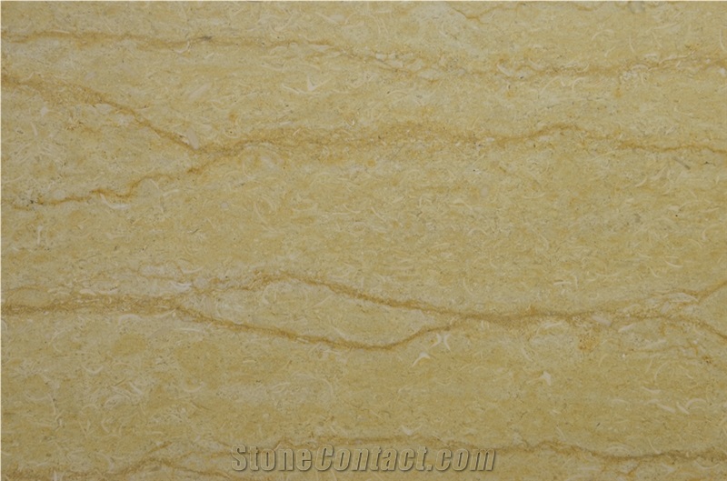 Silvia Menia Marble Polished Slabs