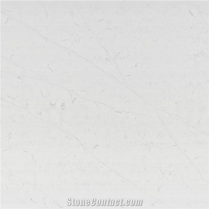 1324 Calacatta Texture Quartz Slabs